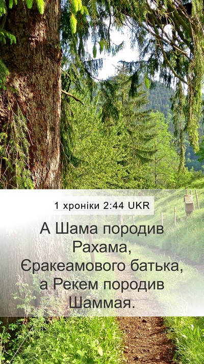 1 хроніки 2:44 UKR Mobile Phone Wallpaper - А Шама породив Рахама, - Mobile Bible Verse Wallpaper