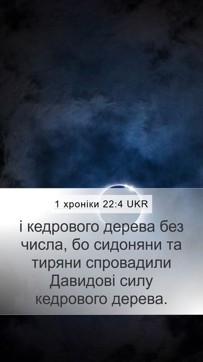 1 хроніки 22:4 UKR Bible Verse Image