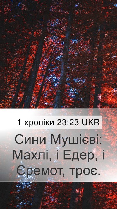 1 хроніки 23:23 UKR Bible Verse Image