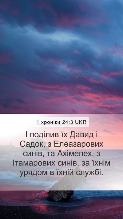 1 хроніки 24:3 UKR Bible Verse Image