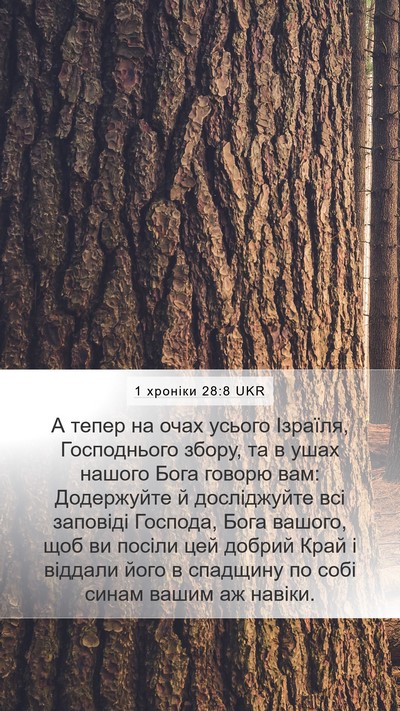 1 хроніки 28:8 UKR Bible Verse Image