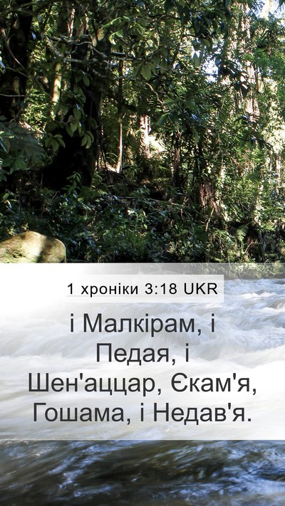 1 хроніки 3:18 UKR Bible Verse Image