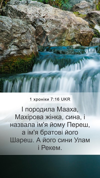 1 хроніки 7:16 UKR Mobile Phone Wallpaper - І породила Мааха, Махірова - Mobile Bible Verse Wallpaper