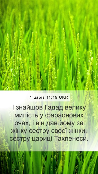 1 царів 11:19 UKR Mobile Phone Wallpaper - І знайшов Гадад велику - Mobile Bible Verse Wallpaper