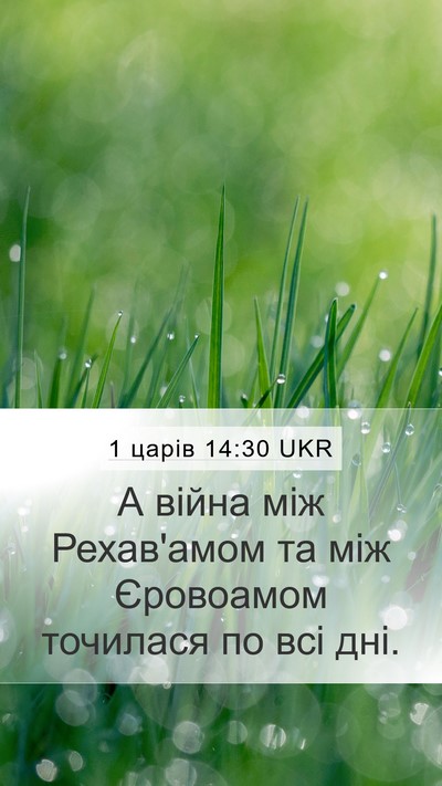 1 царів 14:30 UKR Bible Verse Image