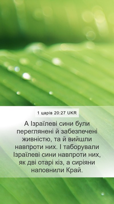 1 царів 20:27 UKR Bible Verse Image