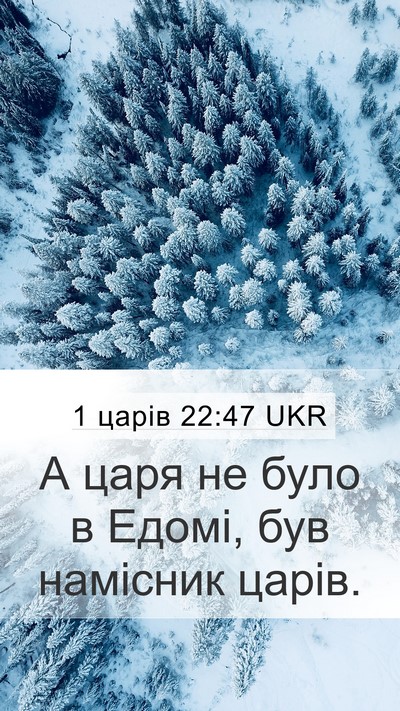 1 царів 22:47 UKR Bible Verse Image