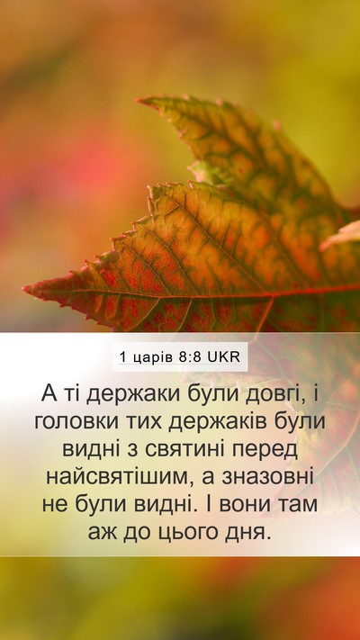 1 царів 8:8 UKR Bible Verse Image