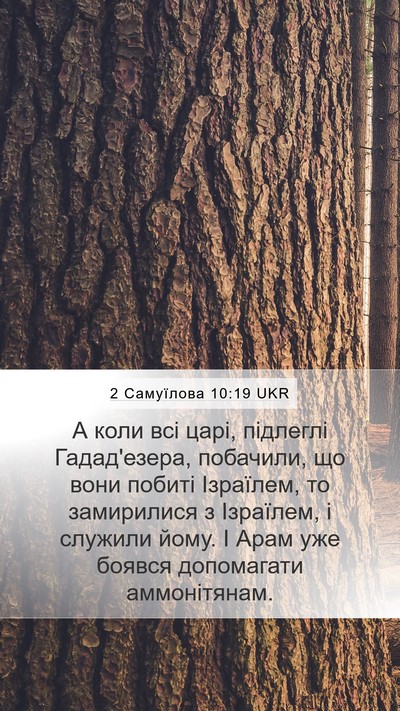 2 Самуїлова 10:19 UKR Bible Verse Image