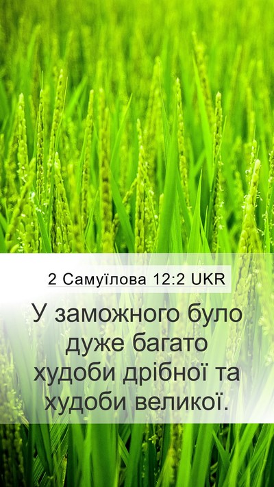 2 Самуїлова 12:2 UKR Mobile Phone Wallpaper - У заможного було дуже - Mobile Bible Verse Wallpaper
