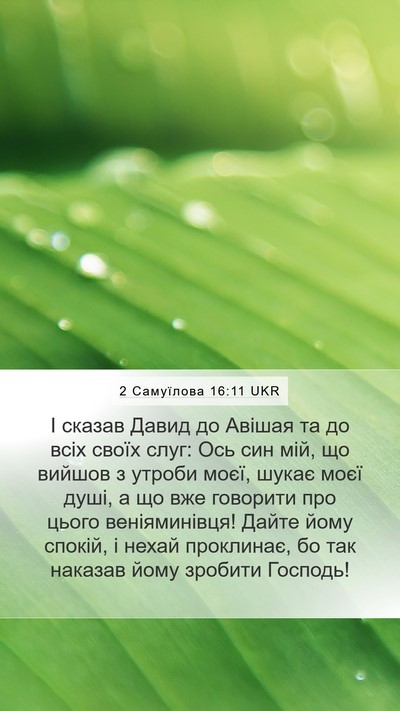 2 Самуїлова 16:11 UKR Bible Verse Image
