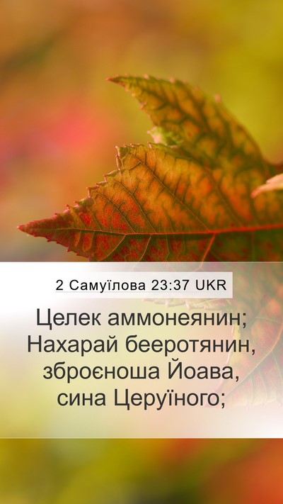 2 Самуїлова 23:37 UKR Bible Verse Image