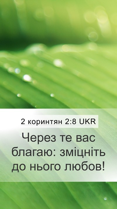 2 коринтян 2:8 UKR Mobile Phone Wallpaper - Через те вас благаю: - Mobile Bible Verse Wallpaper