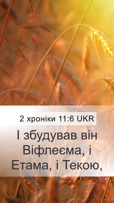 2 хроніки 11:6 UKR Bible Verse Image