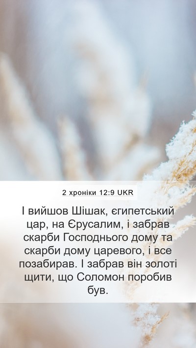 2 хроніки 12:9 UKR Bible Verse Image