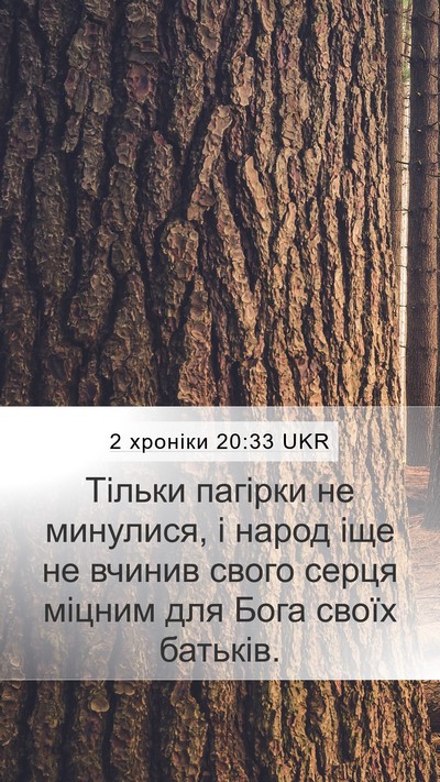 2 хроніки 20:33 UKR Bible Verse Image