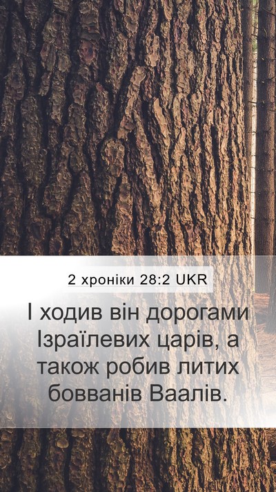 2 хроніки 28:2 UKR Bible Verse Image