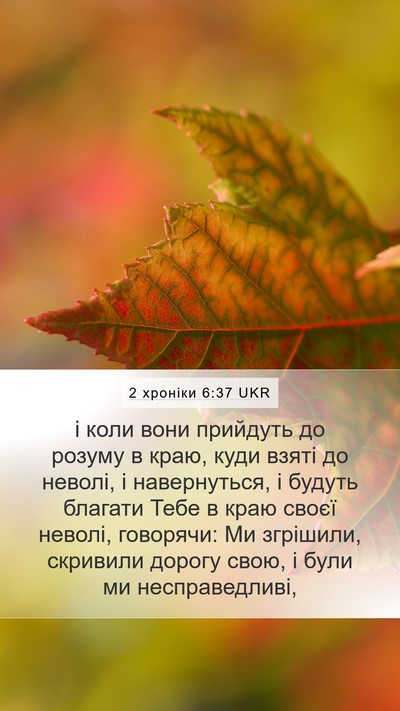 2 хроніки 6:37 UKR Bible Verse Image