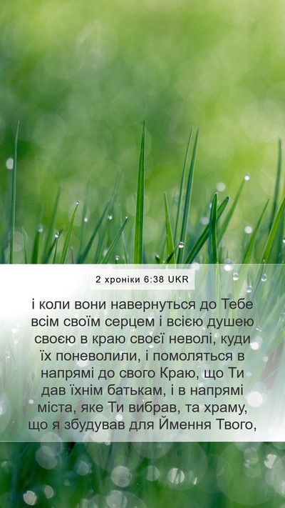 2 хроніки 6:38 UKR Bible Verse Image