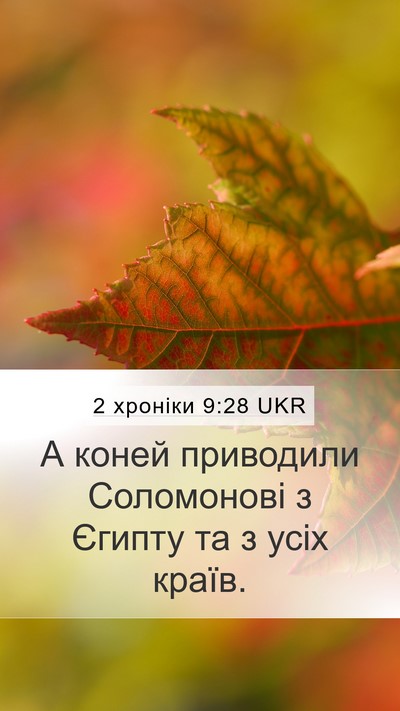 2 хроніки 9:28 UKR Mobile Phone Wallpaper - А коней приводили - Mobile Bible Verse Wallpaper