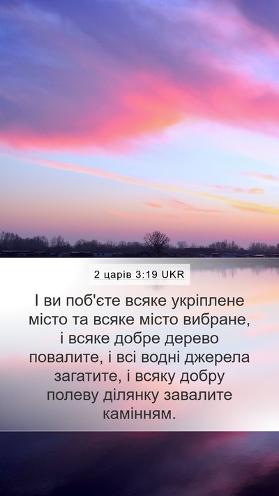 2 царів 3:19 UKR Bible Verse Image