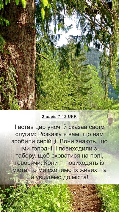 2 царів 7:12 UKR Mobile Phone Wallpaper - І встав цар уночі й сказав - Mobile Bible Verse Wallpaper