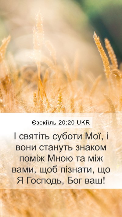 Єзекіїль 20:20 UKR Bible Verse Image
