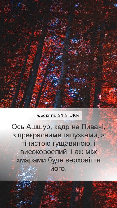 Єзекіїль 31:3 UKR Bible Verse Image