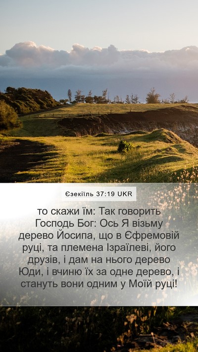 Єзекіїль 37:19 UKR Bible Verse Image