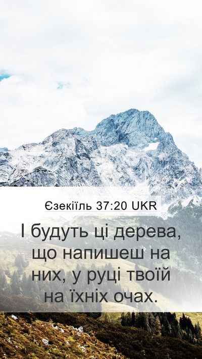 Єзекіїль 37:20 UKR Bible Verse Image