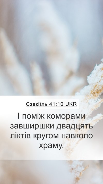 Єзекіїль 41:10 UKR Bible Verse Image