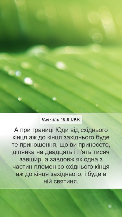 Єзекіїль 48:8 UKR Mobile Phone Wallpaper - А при границі Юди від - Mobile Bible Verse Wallpaper