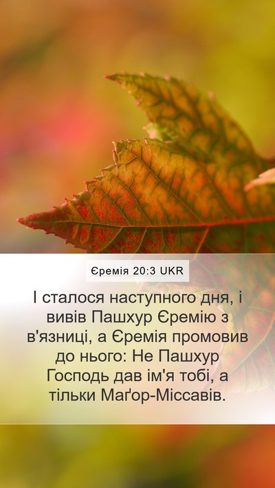 Єремія 20:3 UKR Bible Verse Image