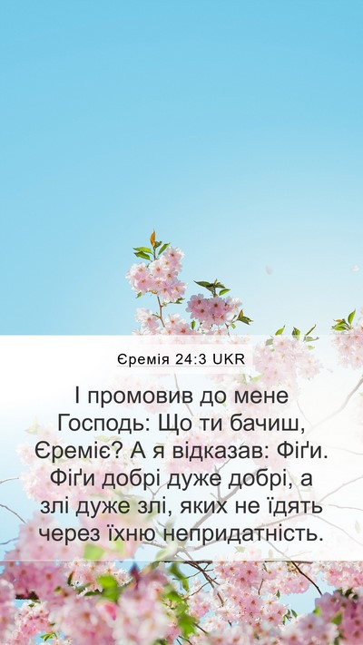 Єремія 24:3 UKR Bible Verse Image