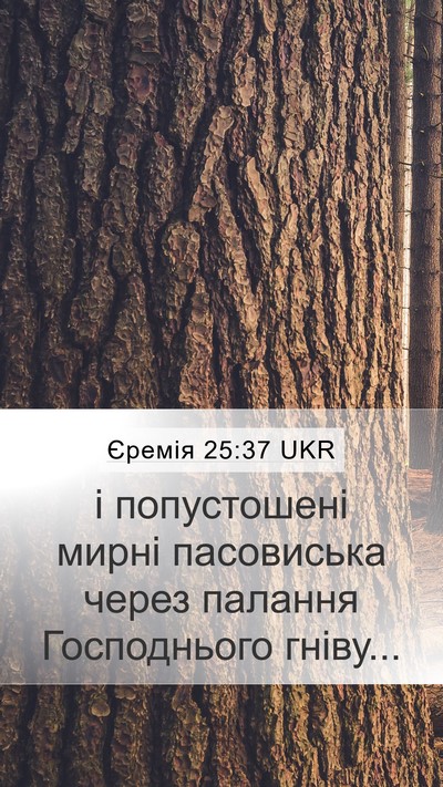 Єремія 25:37 UKR Bible Verse Image