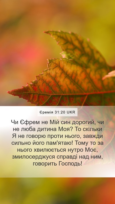 Єремія 31:20 UKR Bible Verse Image