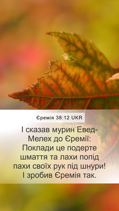 Єремія 38:12 UKR Mobile Phone Wallpaper - І сказав мурин Евед-Мелех - Mobile Bible Verse Wallpaper