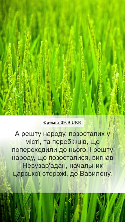 Єремія 39:9 UKR Bible Verse Image
