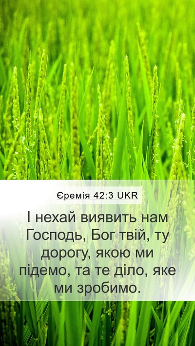 Єремія 42:3 UKR Bible Verse Image