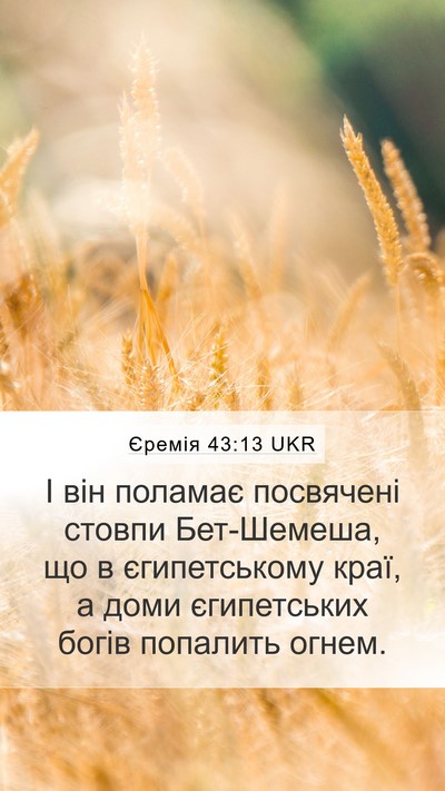 Єремія 43:13 UKR Bible Verse Image
