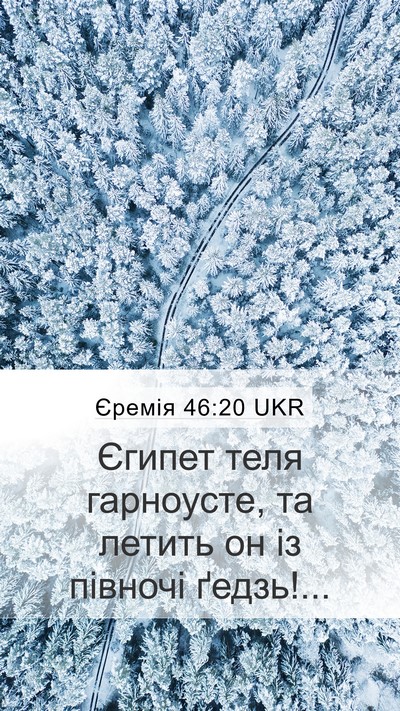 Єремія 46:20 UKR Bible Verse Image