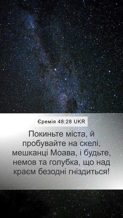 Єремія 48:28 UKR Bible Verse Image