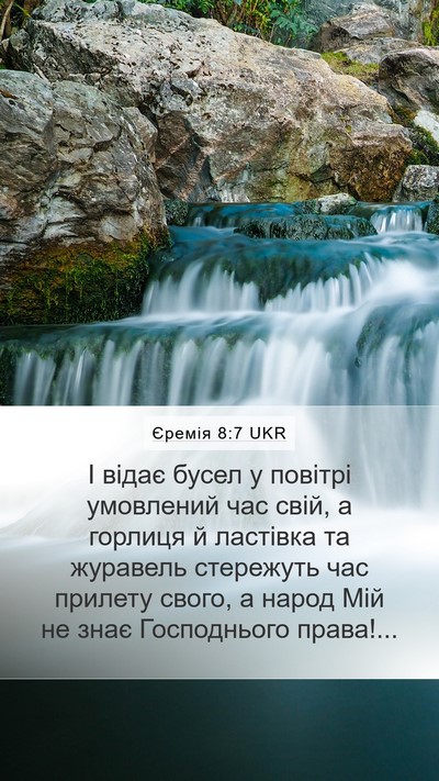 Єремія 8:7 UKR Bible Verse Image