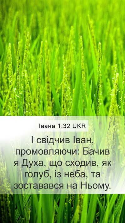 Івана 1:32 UKR Bible Verse Image