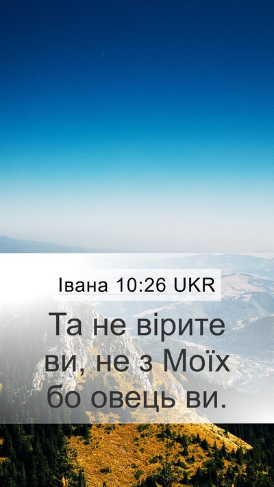 Івана 10:26 UKR Bible Verse Image