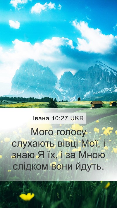 Івана 10:27 UKR Bible Verse Image