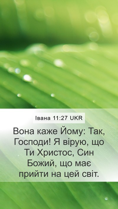 Івана 11:27 UKR Bible Verse Image