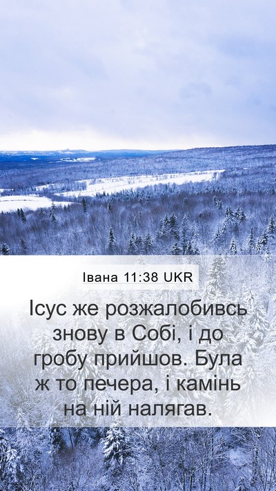 Івана 11:38 UKR Mobile Phone Wallpaper - Ісус же розжалобивсь знову - Mobile Bible Verse Wallpaper