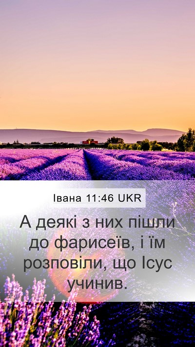 Івана 11:46 UKR Bible Verse Image