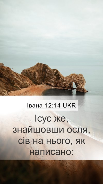 Івана 12:14 UKR Bible Verse Image